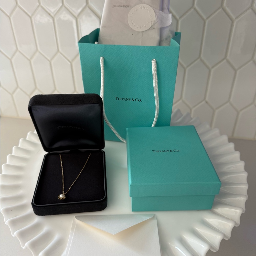 Tiffany & Co. Gold Necklace Elegant Jewelry